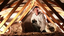 Home Insulation & Drafts- Craig Phillips Home Advice with Aviva