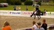 Eesti tõugu täku Apollo MV sõit koolisõidus / estonian native horse Apollo - Dressage Championships