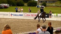 Eesti tõugu täku Apollo MV sõit koolisõidus / estonian native horse Apollo - Dressage Championships