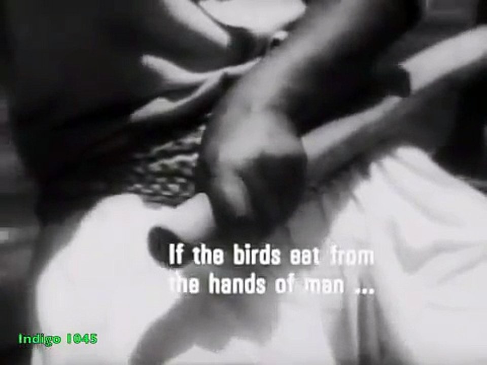 Josephine Baker - Rêves - Dreams