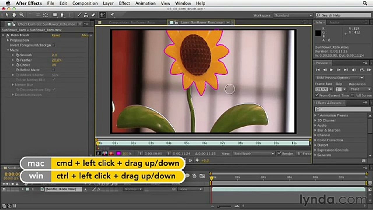 Rotoscoping with the Roto Brush on Adobe After Effects  Part 25