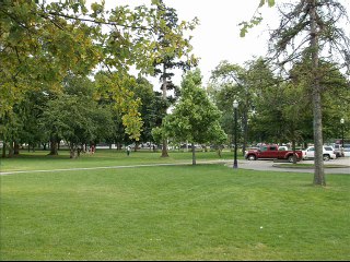 Rock and Roll Summertime Classics