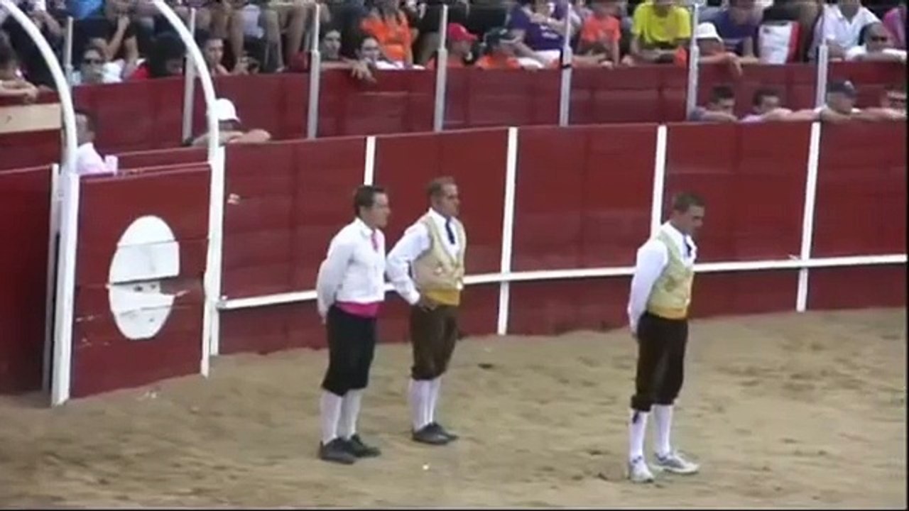 CONCURSO DE RECORTES MEJORADA 2011 FINAL