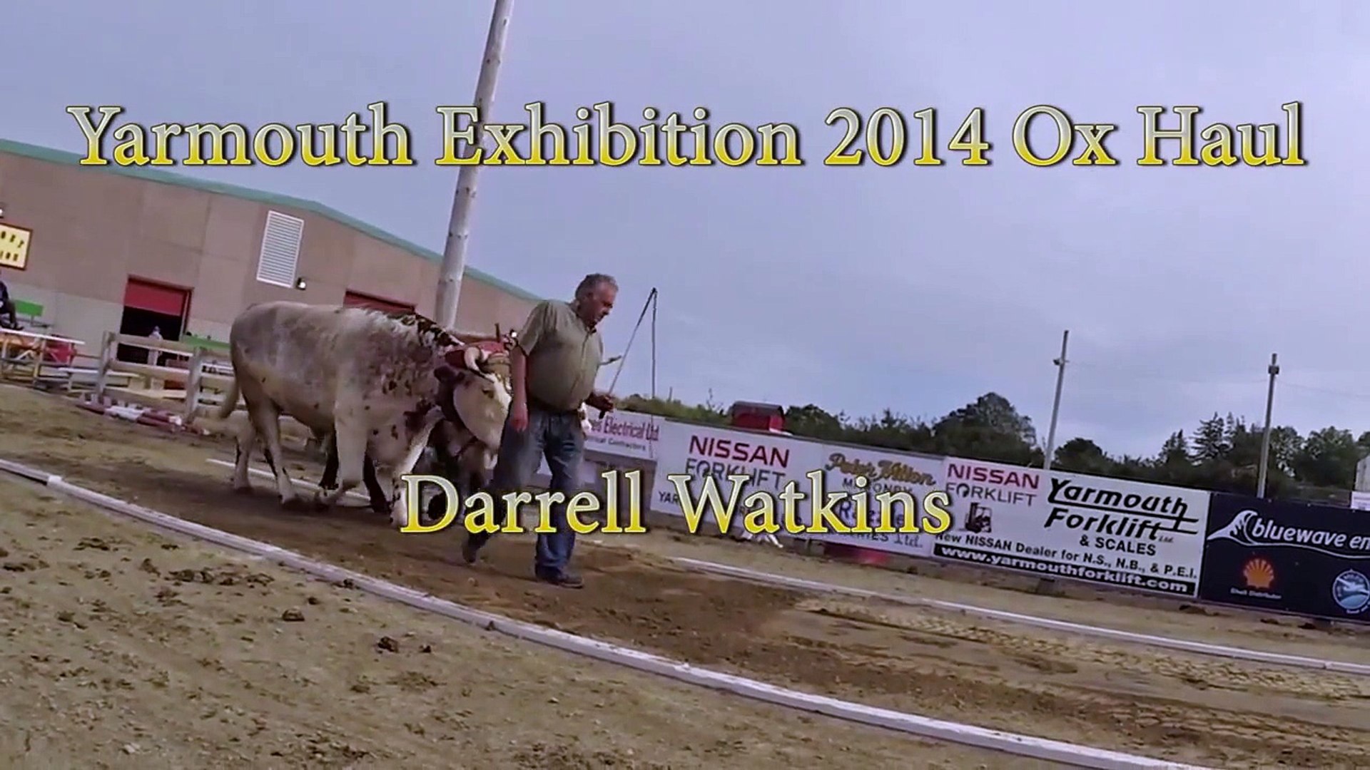 Yarmouth Exhibition Ox Haul - Darrell Watkins