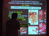 Gastritis, Reflujo, Colitis y Enfermedades del Estomago Dr Joaquin Gonzalez Aragon