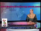 بالفيديو قناة العربية تبث خبر الانقلاب ضد أمير قطر حمد