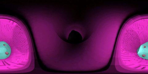 What Happens Inside Your Body- - VR 360° Tour