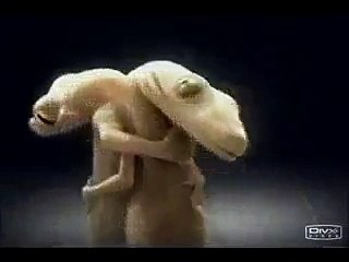 VID-20150702-WA0002.mp4