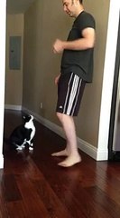 Best Kitty Hug Ever!