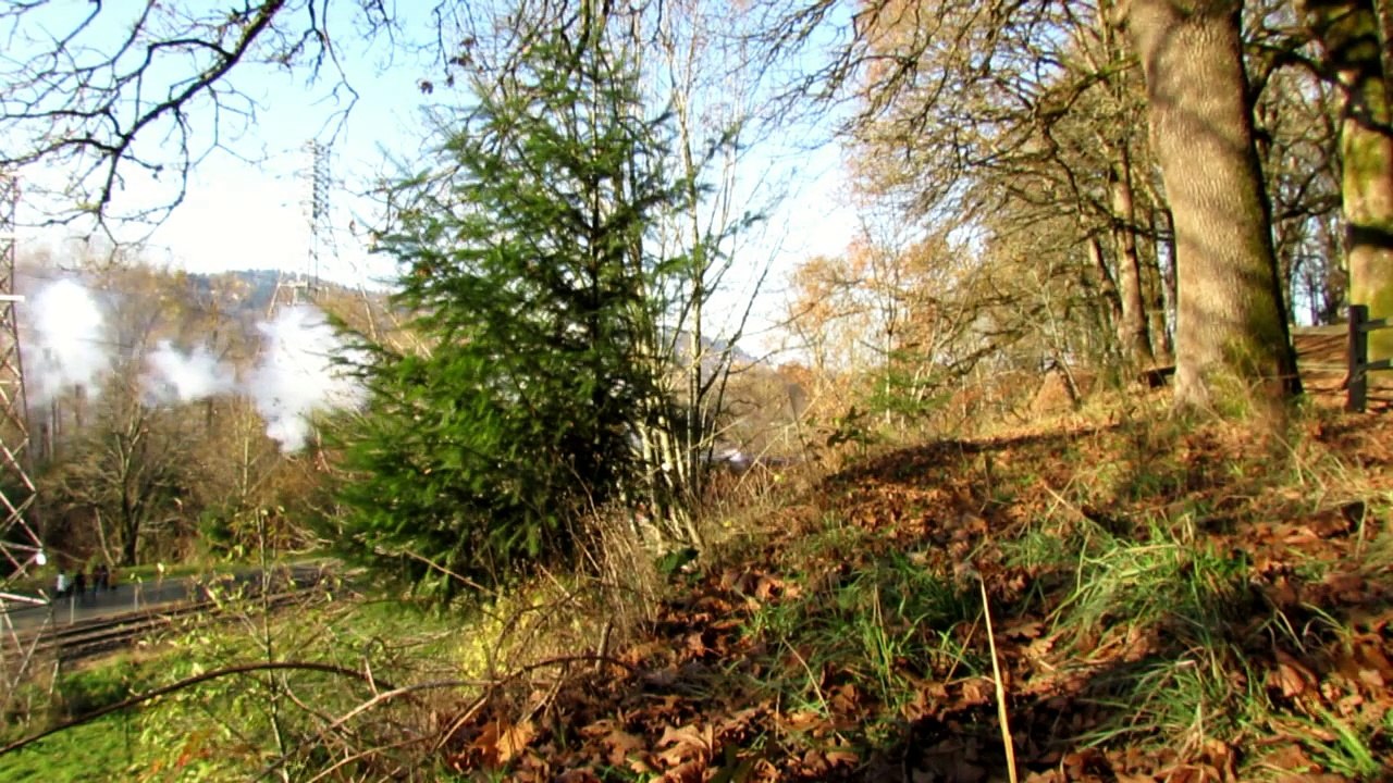 Southern Pacific 4449 and SP&S 700