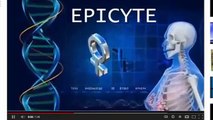 Did Epicyte Corn Get Released Into Crops - Monsanto Depopulation Scheme