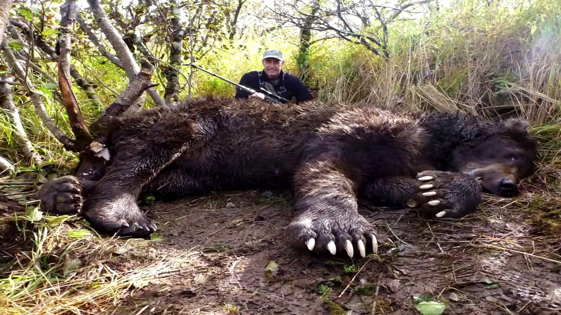 ⁣World's Biggest Animals All Time | TOP 10 Biggest Animals| Huge Animals