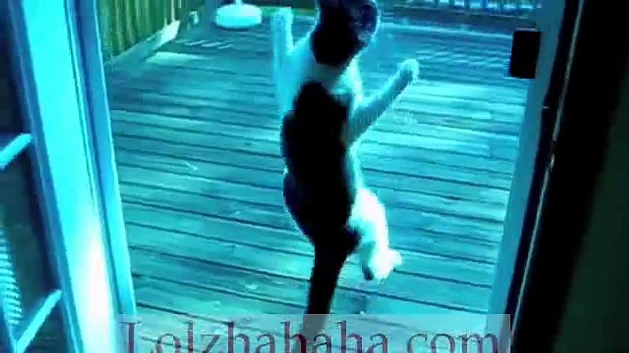Supercats_ Episode 2 — Moar Hilarious Cat Videos!