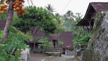 Kopernik in Indonesia: Fuel-Efficient Biomass Stoves