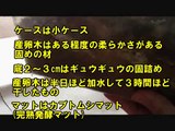 コクワガタ　産卵木割り出し　クワガタのクワガタ動画