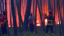 Firefighters tackle forest fires in Portugal