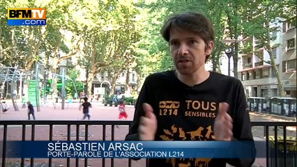 Des parlementaires se mobilisent contre le broyage des poussins