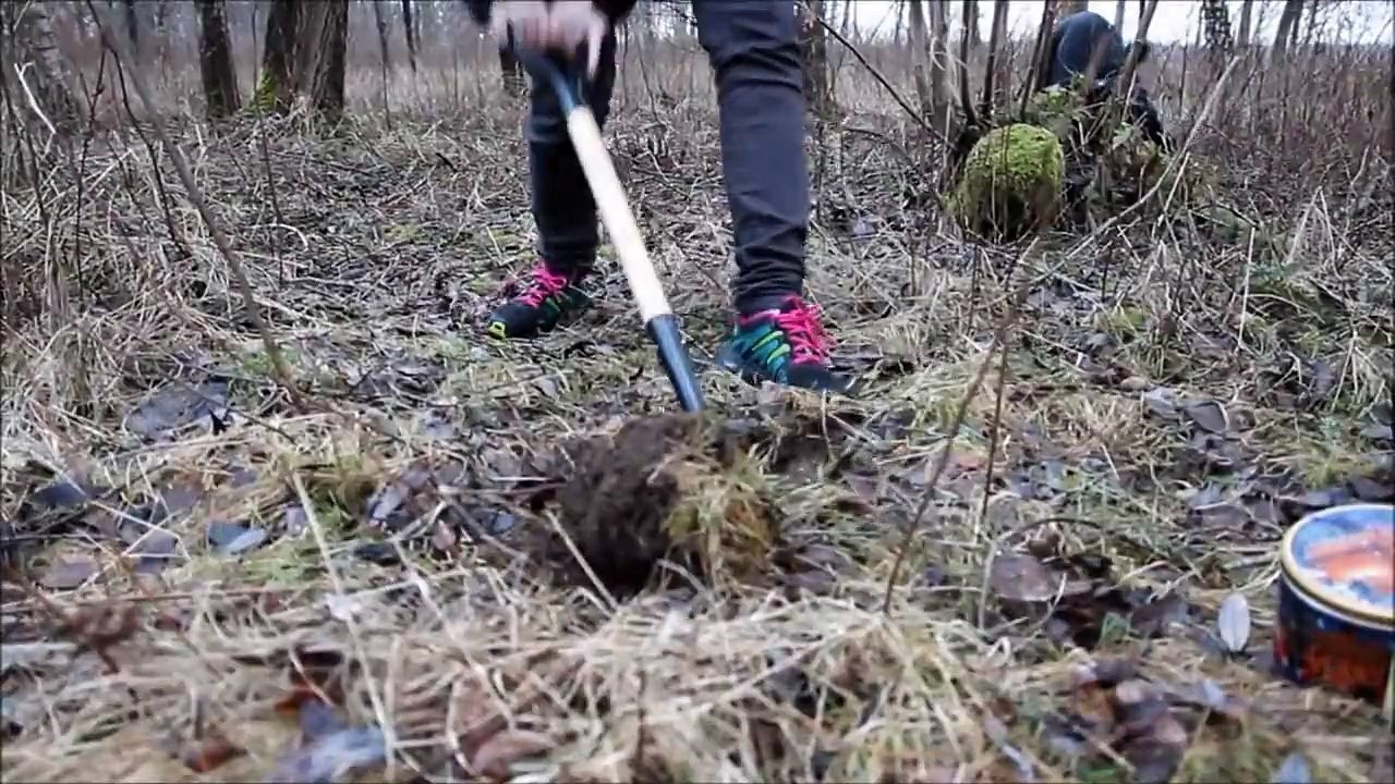 Arkeologhunden Fabel / Fabel the archaeology dog