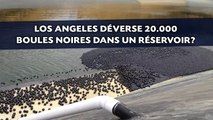 Pourquoi Los Angeles déverse 20.000 boules noires dans un réservoir?