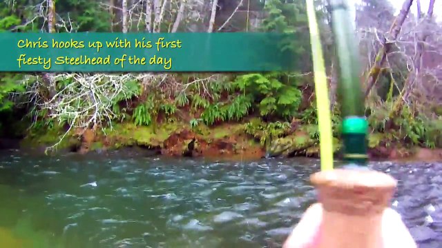 Fly Fishing Winter Steelhead - North Oregon Rivers