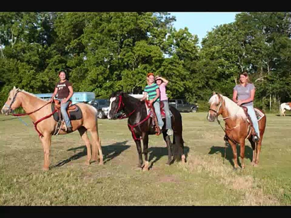 EXTREME HORSE RIDING!!!!