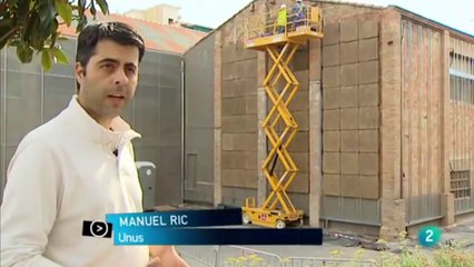 Importancia de los jardines verticales en la actualidad