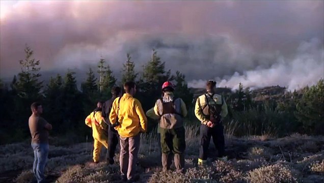Des centaines de pompiers mobilisés pour lutter contre les incendies au Portugal