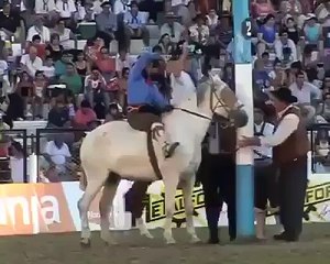 Yok Böyle Bir At'a Biniş!