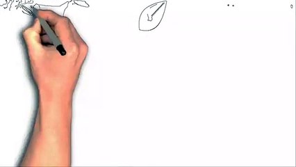 Wisconsin American Ginseng Capsules by Burmeister Ginseng