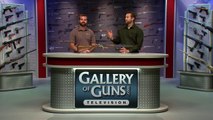 Gallery of Guns TV - 686 Silver Pigeon 1