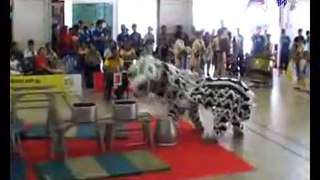 ntu lion dance compeition 2009 (Yuan Ching sec team B) part 1