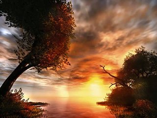 يا محلا الفنجال مع سيحت البال - ساحات العجمان