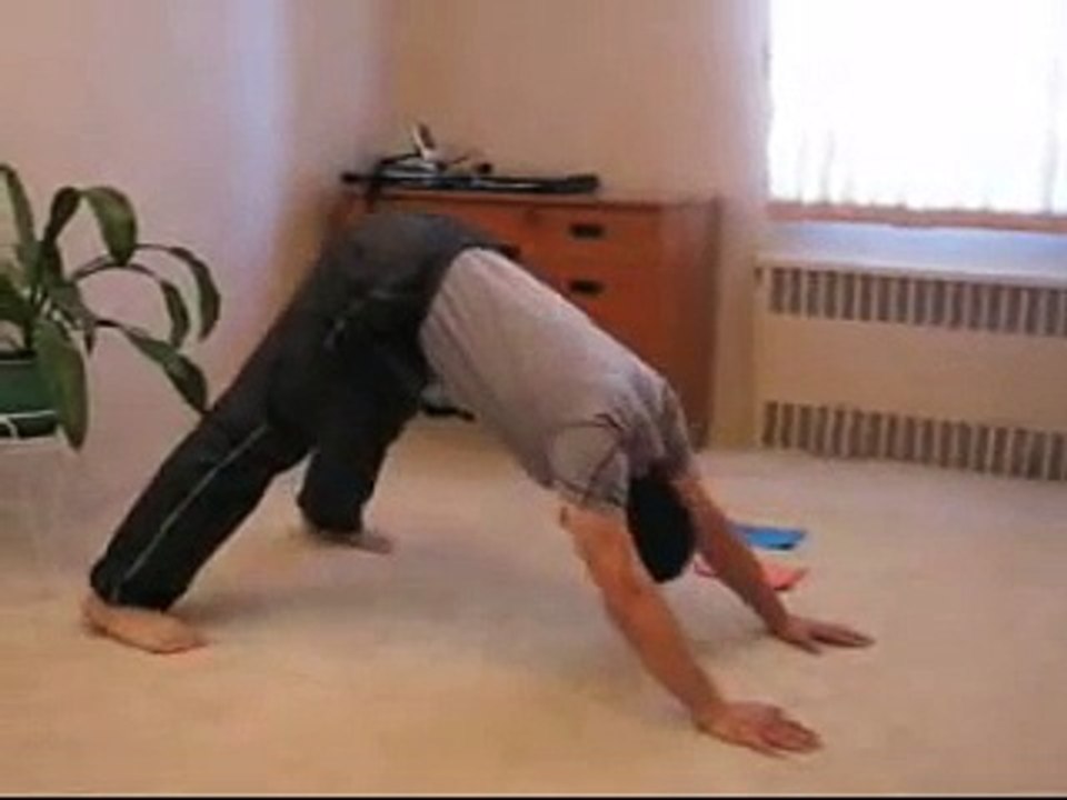 PUSH UPS Hindu vs Divebomber "Push Up" Pushup Cool Pushup BodyWeight Training  Paul Zaichik