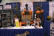2009 Meet the Breeds German Shorthaired Pointer Booth