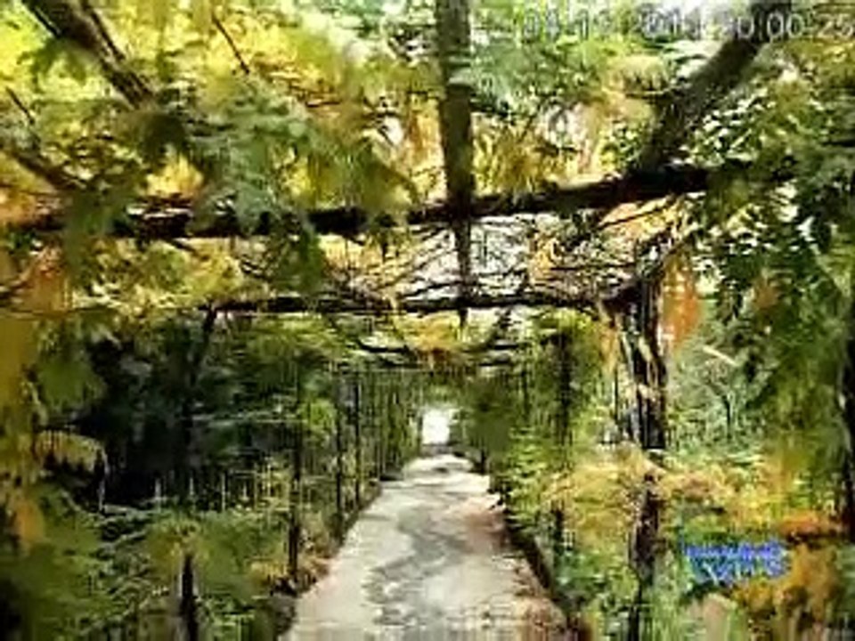 Centro Giapponese Wabisabi Culture San Ginesio