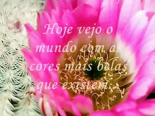 MEU AMOR (COM VOZ MASCULINA).wmv