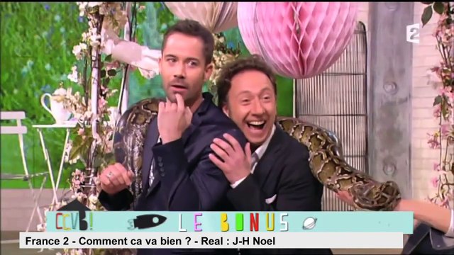 Lapins très chauds lapins, demande en mariage mouillée, éruption imprévue... Zap