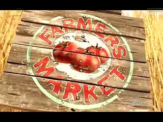 Gopher Broke funny cartoon clip watch online highlay