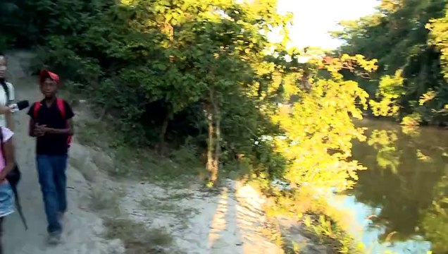 Assistir PROFISSÃO REPÓRTER - Transporte Escolar - 11-08-2015 Parte Única Online Completo