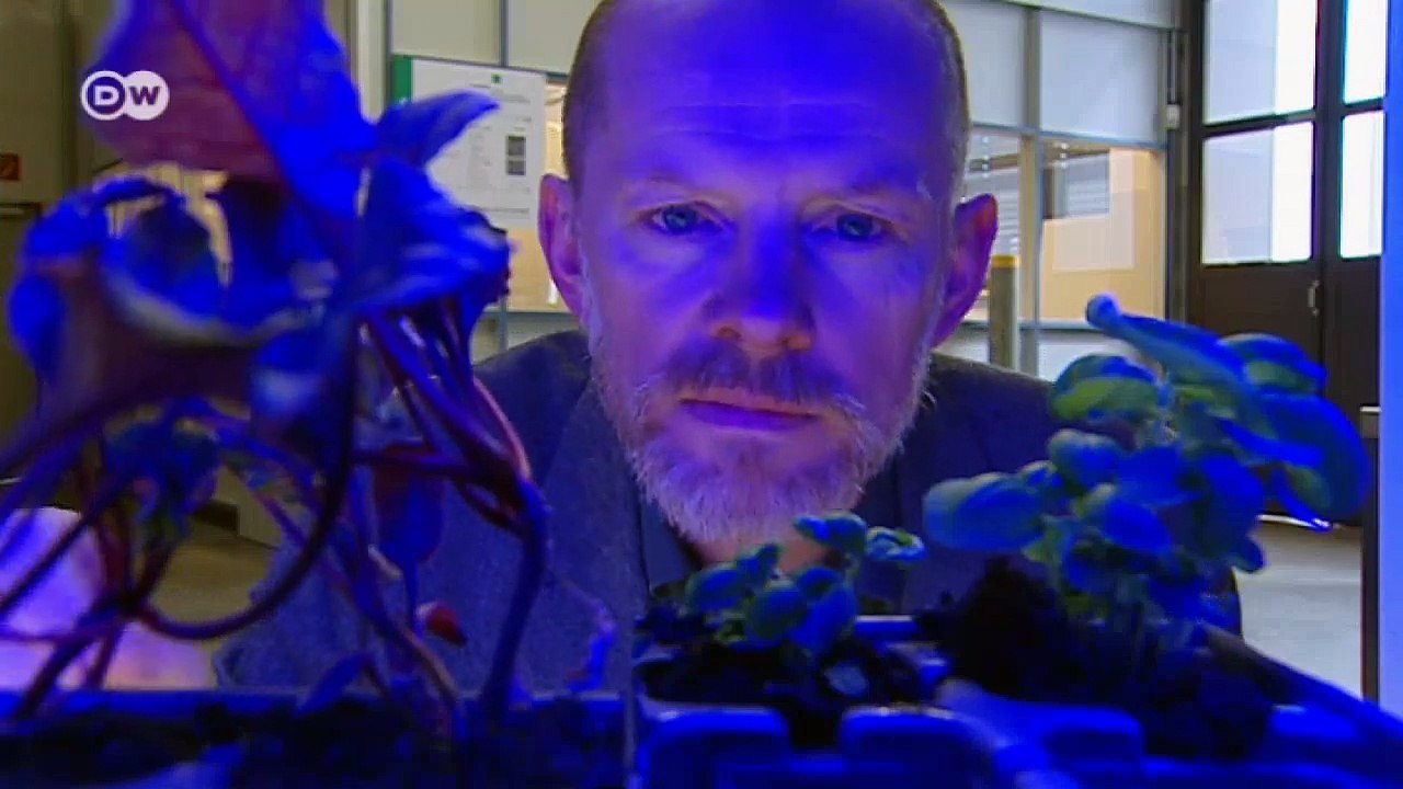 Urban Gardening: Gemüse direkt aus der Stadt | Made in Germany