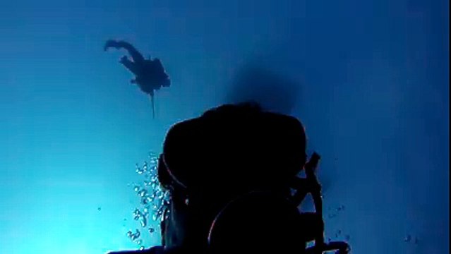 Deep Blue : The biggest shark ever