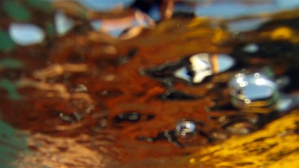 Bike e Sup nos mares e praia de Ubatuba, SP, Brasil