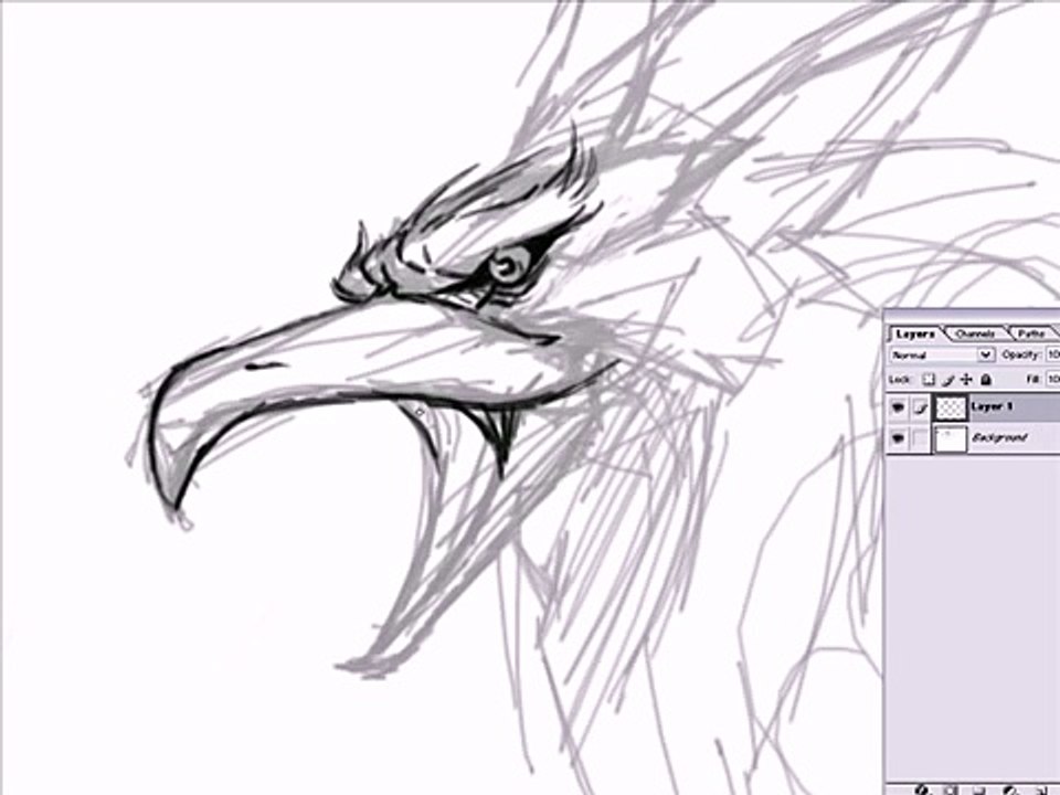 Griffon Drawing Part 1 of 3