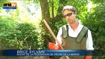 La sécheresse menace les poissons dans la Marne