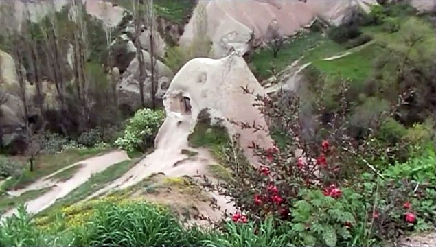 Vidéo Turquie les pigeons culbuteurs de la Cappadoce (Turquey pigeons rockers Cappadocia )