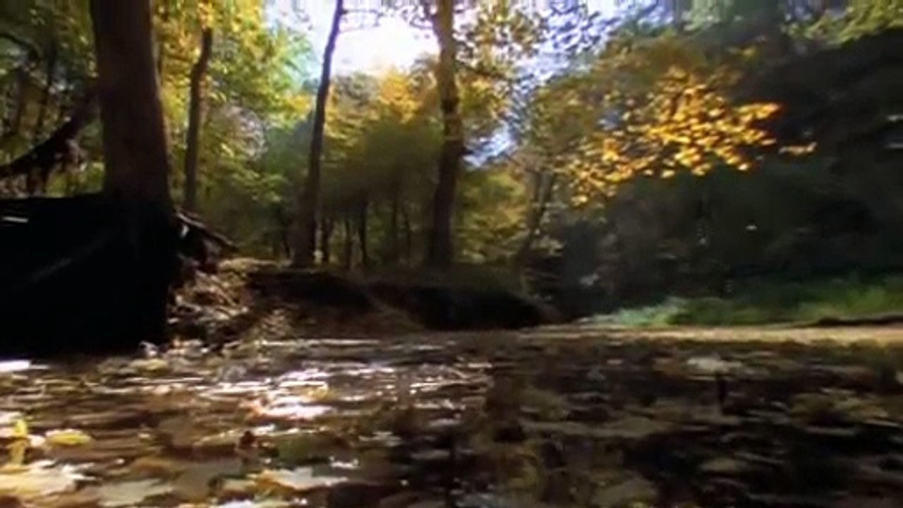 PerfectDry in Miele Tumble Dryers