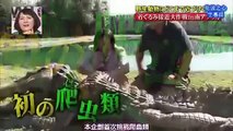 Crazy Japanese Crocodile Prank!!