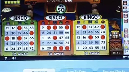Pogo Games Bingo Luau