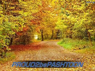 ♥ ♫ ♥Pashto Song....Ahmad Zahir....Rakra Sharab.