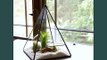 Diy Terrarium Holiday Glass Christmas Decoration | Picture Collection Ideas Of Glass Craft